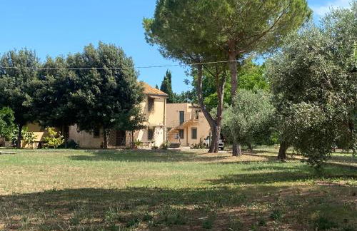 Adamasseria - Foto 1