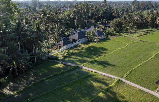 Capung Asri Ubud - Foto 40