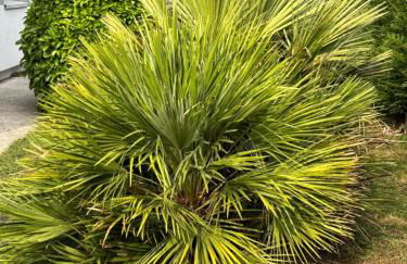 Chez nous chez vous - Foto 13