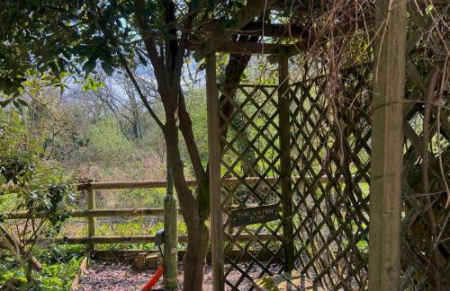 Perfect Tranquil Holiday Home Old Forge Pumphouse - Pass the Keys - Photo 21