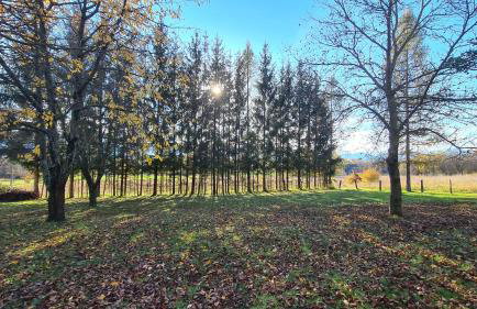 Forestside House Gacka with relax area - Foto 23