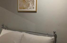 ANSI Splendor - Foto 31