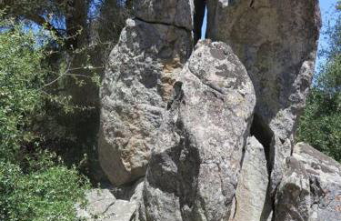 Loyah Cabin - Foto 21