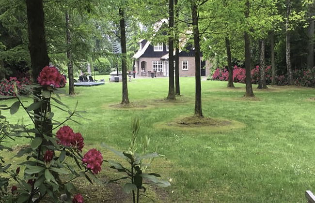 Het Landhuis - Foto 30