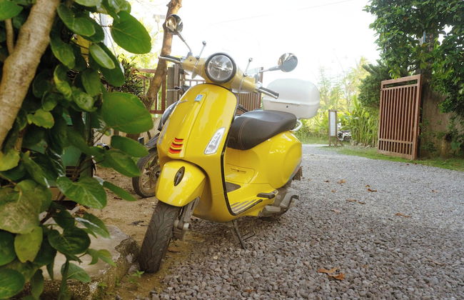 Don Remegio Villas - Foto 23