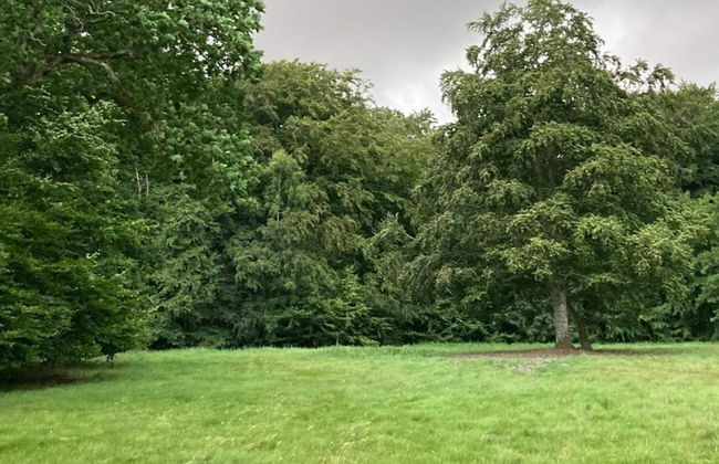 4 Person Holiday Home in Faxe Ladeplads-by Traum - Foto 16