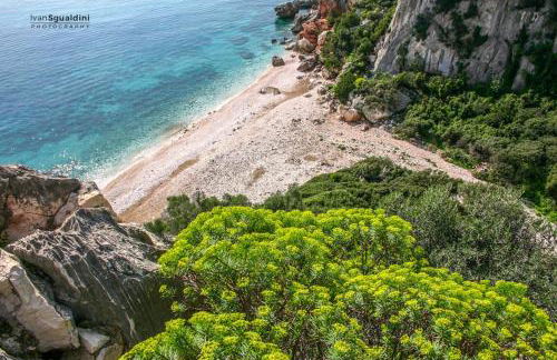 appartamento Oleandro - Foto 19