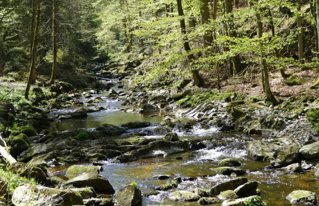 Family Apartment Marianne With Pool and Sauna - Foto 22