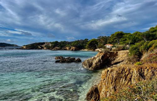 Le Club des Cigales - Foto 45