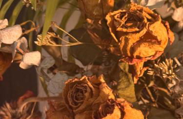 Penedo Casa do Casal Amigo - Foto 34