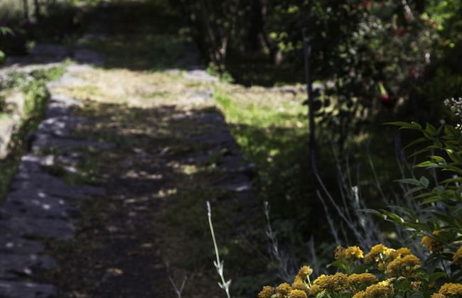 Tenuta Santa Tecla - Foto 73