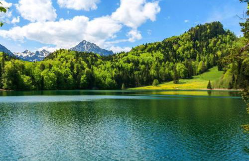 Allgäu Luxury Apartment Berglöwe mit Sauna - Photo 32