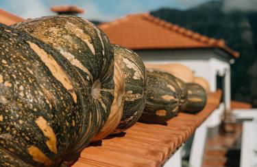 Granny's farm - Foto 47