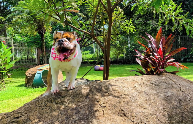 Puerto de Luna Pet Friendly & Family Suites Hotel - Photo 72