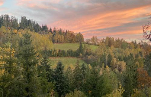 LEŚNE ZACISZE Wisła - Jacuzzi, Bacówka, Niesamowite Widoki - Foto 40