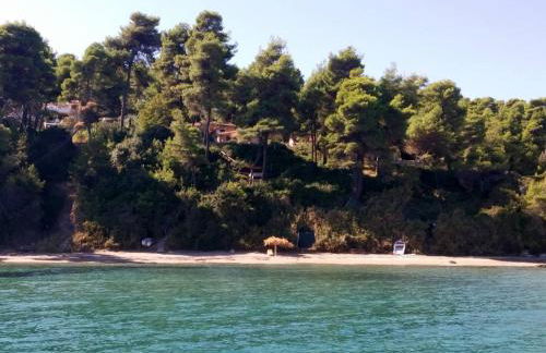 Green and Blue View - Foto 41