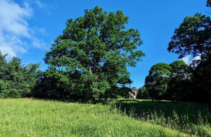 Shepherds Hut on tranquil Powis House Estate - Foto 15