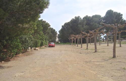 Maisonnette petit jardin barbecue Calafat Tridente 2 - Foto 16