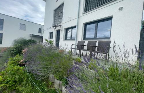 Vogesenblick - Foto 45