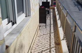 Apartment Dolphins - Photo 49