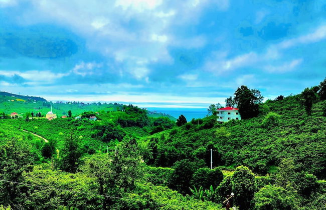 Five Stars Apart Bungalov - Foto 46