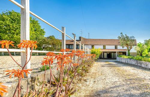 Quinta do Boição - Photo 18