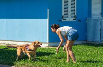 Bungalow Casa Celeste Sul Mare - Foto 20