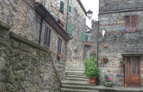 Santa Maria ad Valetudinarium - Foto 9