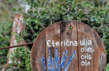 Lavanda apartman 1 - Foto 25