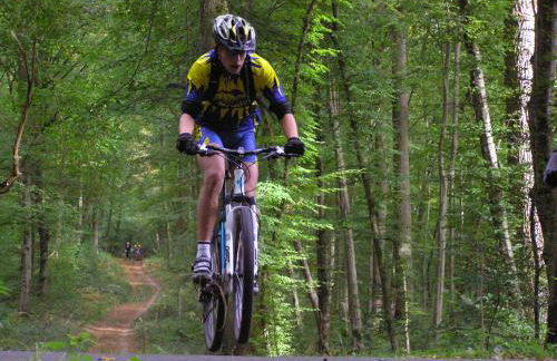 Millygite roulotte - 4 seasons Chalet-on-wheels - Foto 22