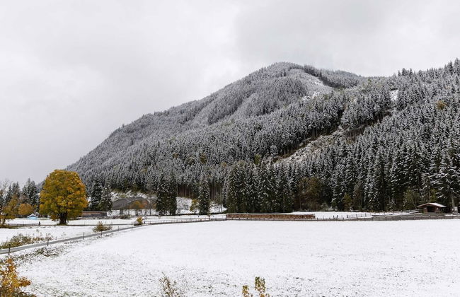 Chalet in Saalbach Near Ski Lift - Foto 30