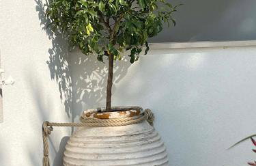 Apartments Domani - Foto 36