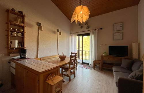 Appartement T2 Duplex sur piste pour 6 pers avec box à skis au Super-Sauze - FR-1-165A-132 - Foto 1