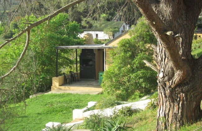 Swaynekloof Farm - Photo 47