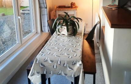 CwmwdigCwtch2 - Foto 8