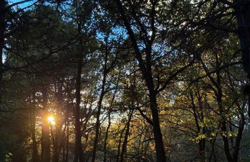 Woods Etna Chalet - Photo 33