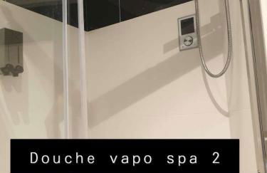 Maison spa sauna - Foto 14