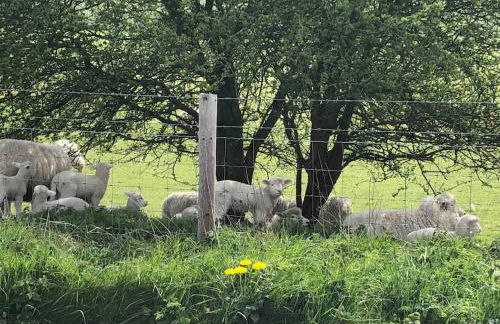 Perfect Cottage Hideaway in the Divine Pewsey Vale - Foto 51