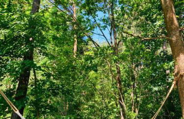 Palma de Masuria Ekskluzywny Dom na wyłączność - Foto 22