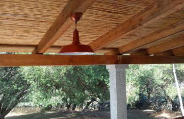 Stazzu Spadulagliu near Olbia - Foto 29