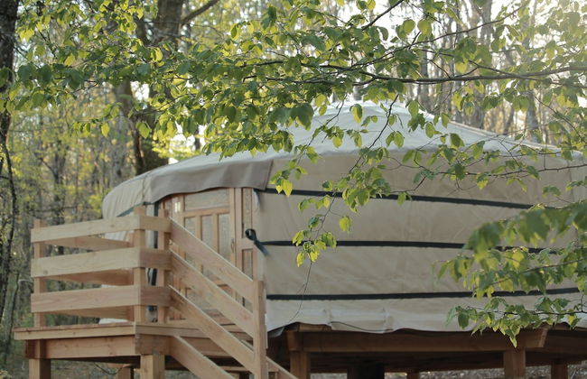 Ô bois dormant - Foto 14