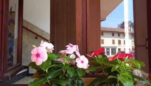 Luce del Mattino - Foto 3