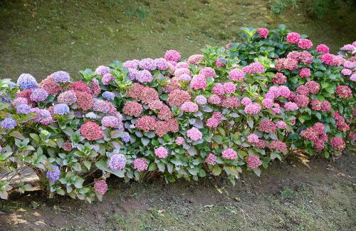 ATeRIAN LAZKANO ENEA - Foto 73