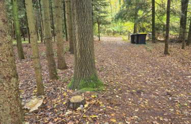 Idyllisch & ruhig - gemütliches Ferienhaus im Wald Hunde willkommen, in Hatten, nahe Oldenburg - Foto 52