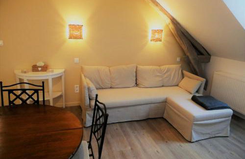 La maison Virginie appartements de 1 à 5 pers cosy central parking gratuit linge fibre proximité port lac canal piscine - Photo 33