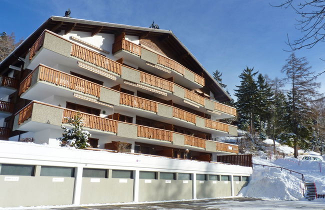 Domino B 48 - Foto 2