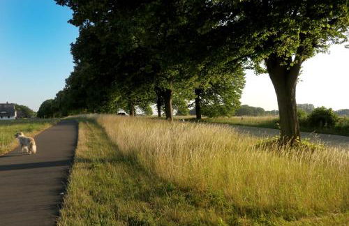 2 Ferienhäuser im Doppelpack für Naturliebhaber, strandnah, ruhig, mit großen Gärten - Foto 60