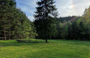 Smerekowiec Domek w lesie - Beskid Niski - Foto 34