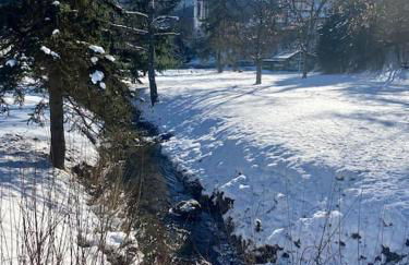 Exklusive 82 qm Loftwohnung mit Tiefgarage und Süd-Balkon zentral - Foto 8