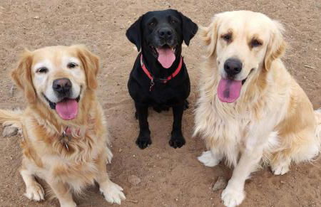 Penthouse El Balcón de Adeje - Foto 38